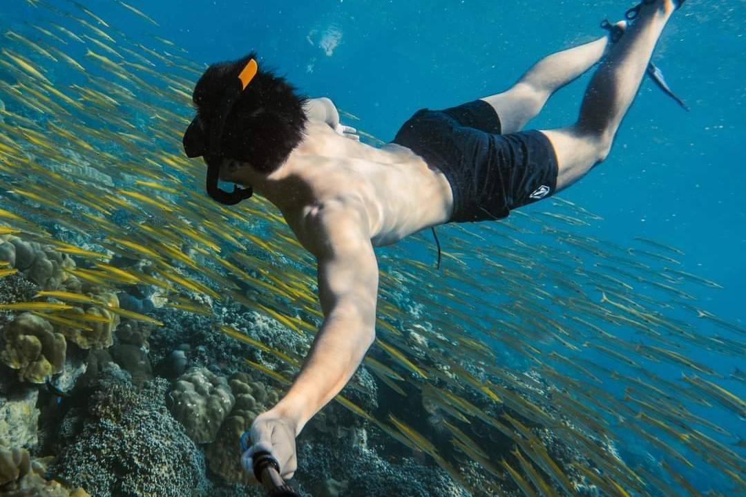 Similan Island Day Trip By Speed Boat