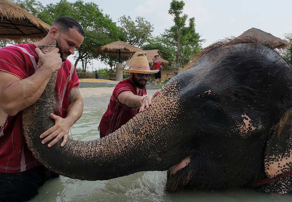 Bangkok elephant park
