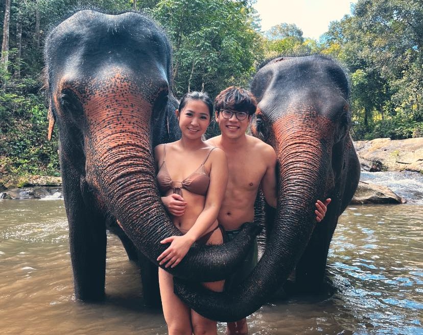 Elephant Sanctuary Chiang Mai