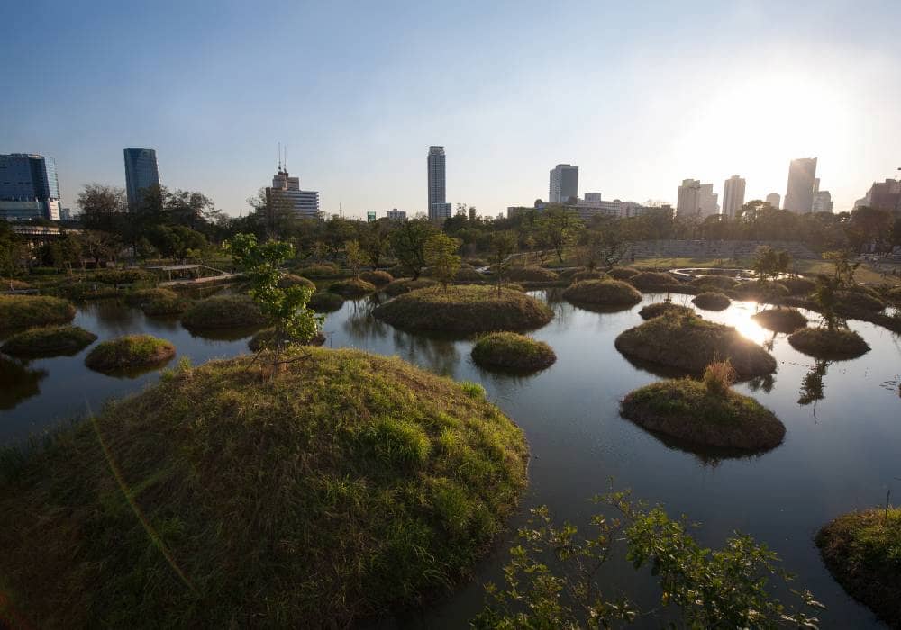 Benjakitti Forest Park wetlands and city skyline off the beaten path in bangkok