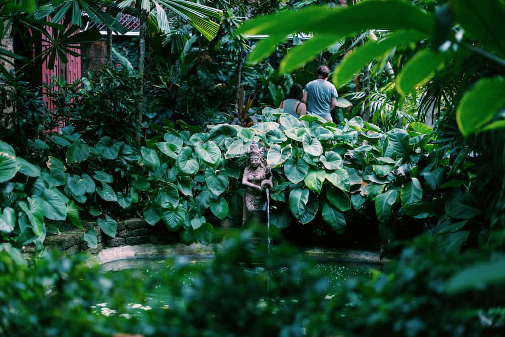 garden jim thomspon house urban nature escape in bangkok