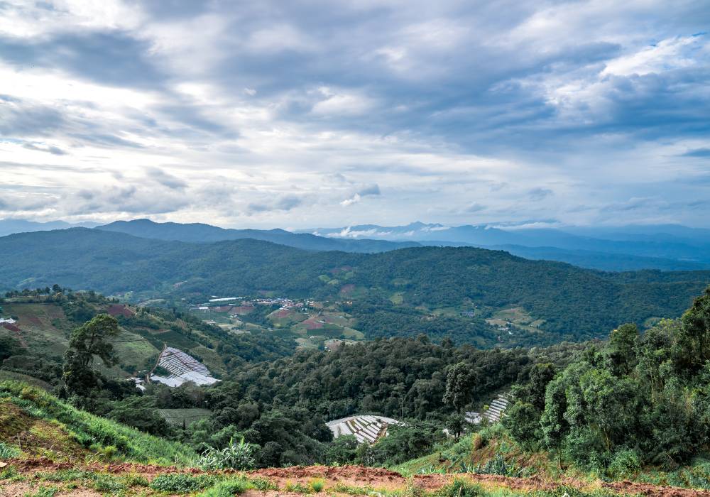 mon jam best day trips from chiang mai